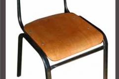 skolska stolica